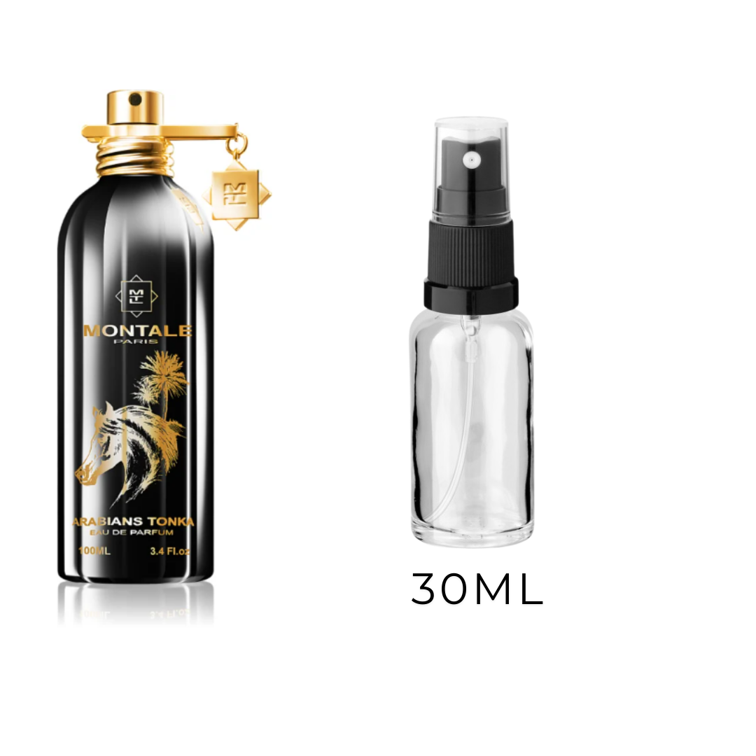 Montale Arabians Tonka